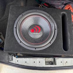 12 Inch hippo Subwoofer And Box