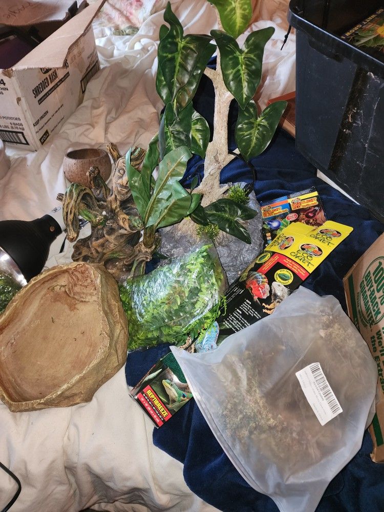 Reptile Supplies