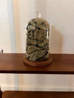 Glass Cloche Bell Jar with Wood Base