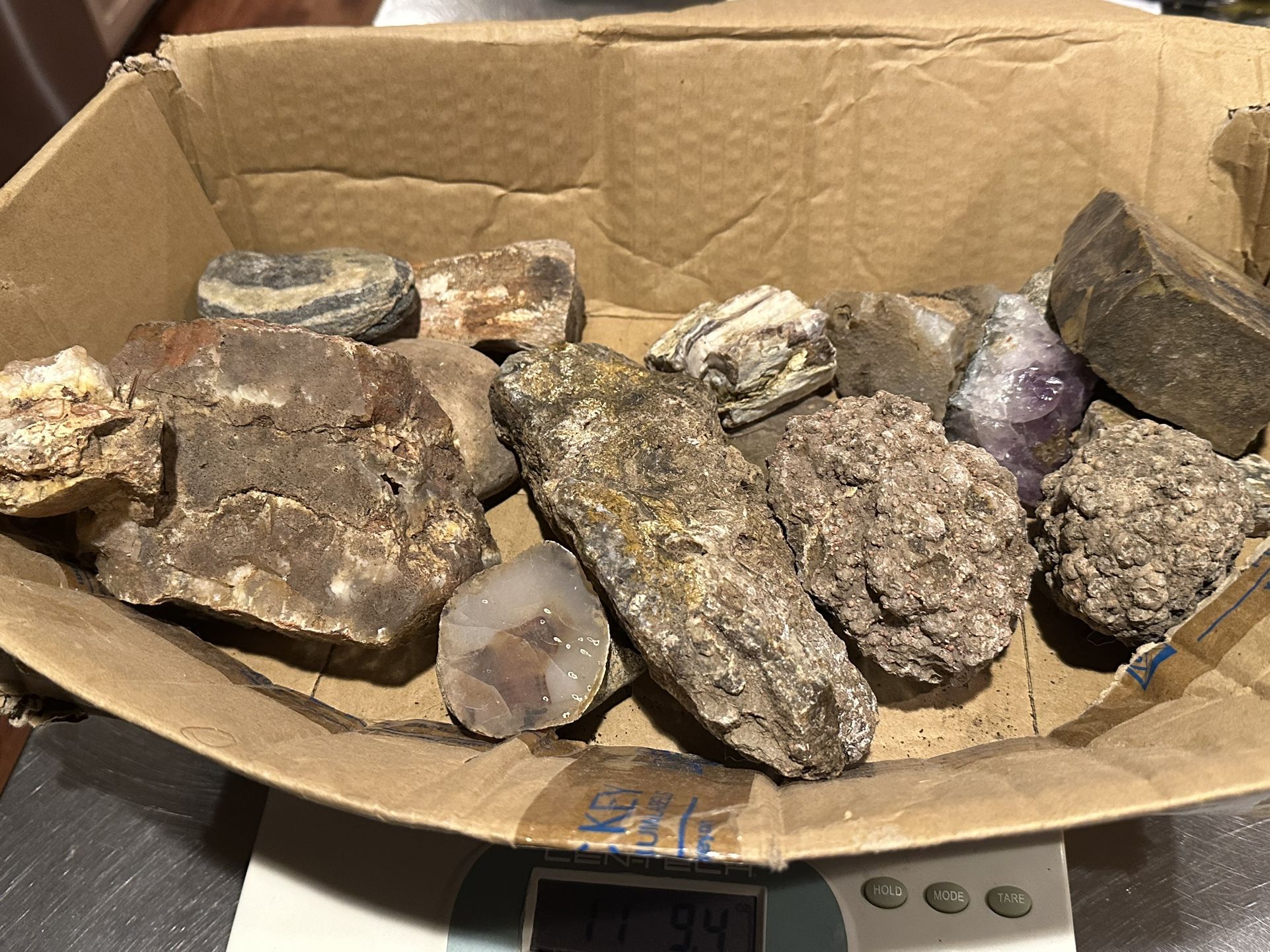 geode and mostly petrified rock 11lbs of rock