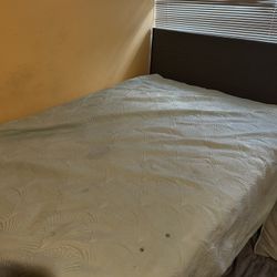 Huge Queen Bed With Mattress 
