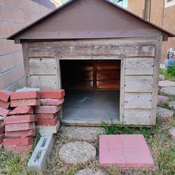 Dog House
