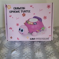 6 In 1 Turtle Toy