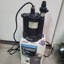 Everbilt Automatic Utility Pump 1/3 HP 