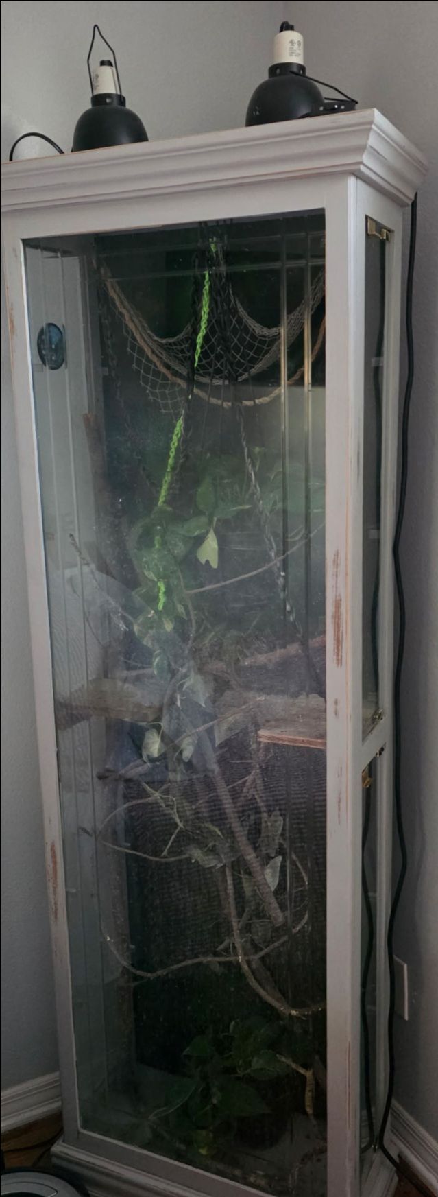 Reptile enclosure