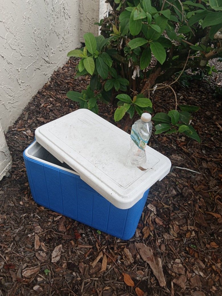 Hielerita (Cooler)