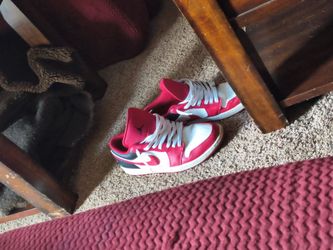 Nike German pups