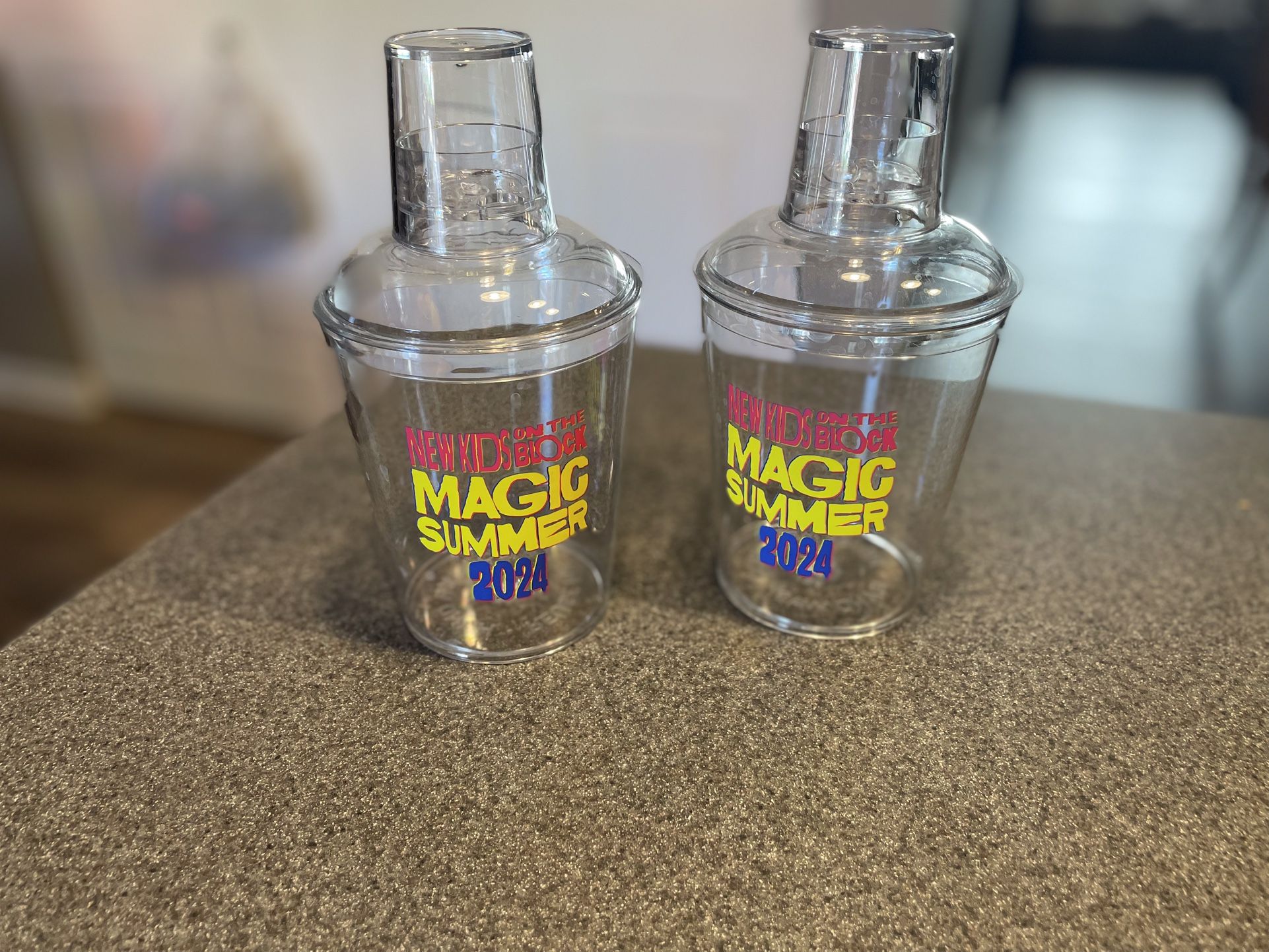 NKOTB Magic Summer Tour 2024 Souvenir Cups 