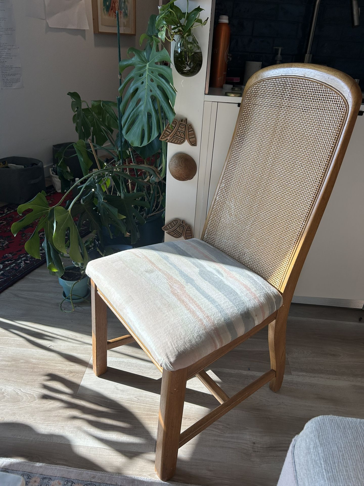Set of 2 adorable mid century modern dining room Chairs with a cane/rattan backing