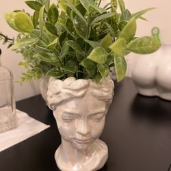 Head Plant