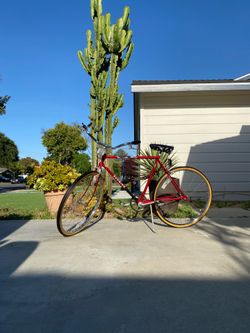 1980 Schwinn Colligate