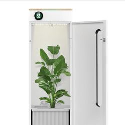 Abby Grow Box