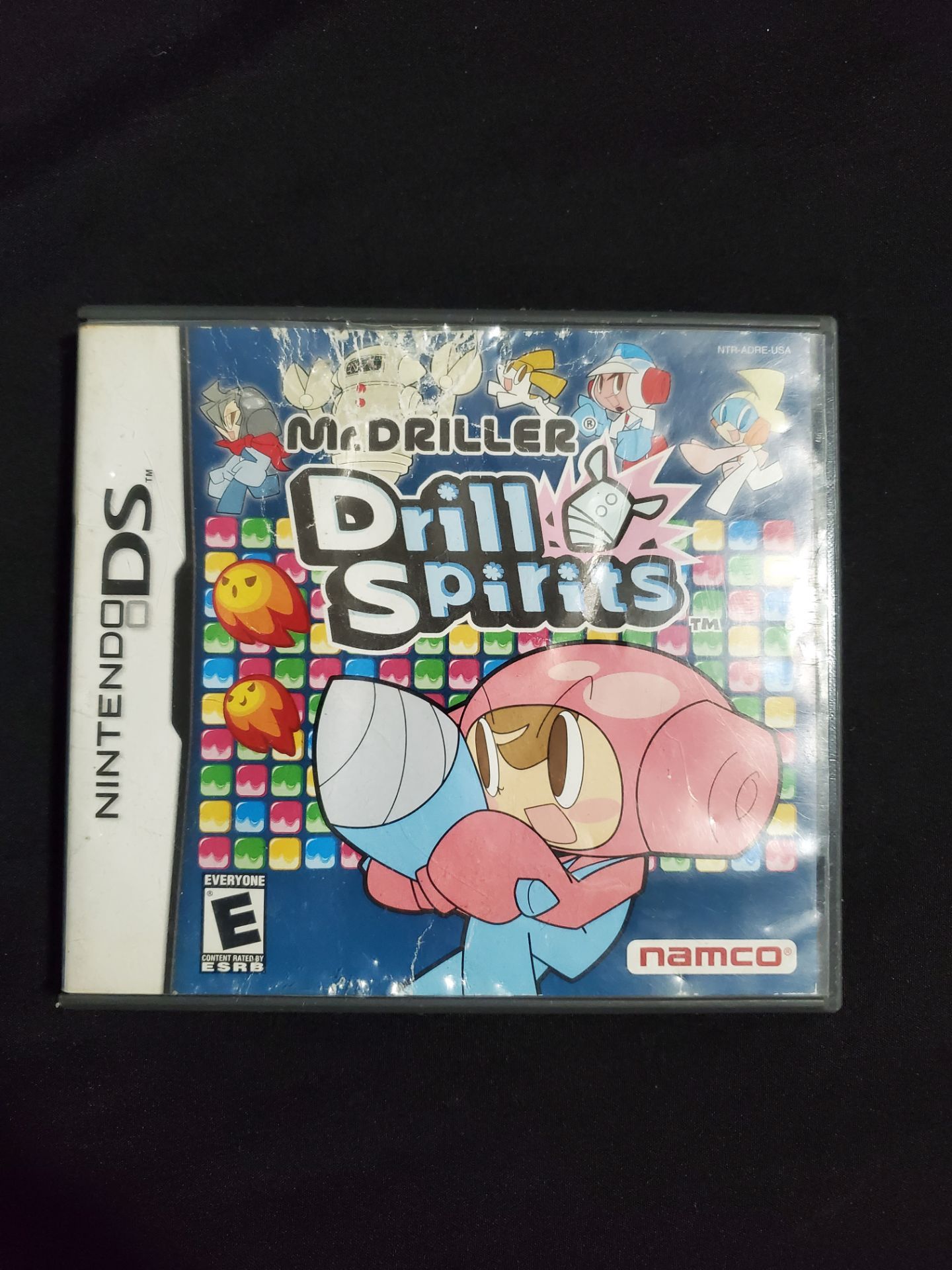 Nintendo DS Game