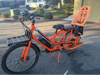 Electric Bike RadWagon