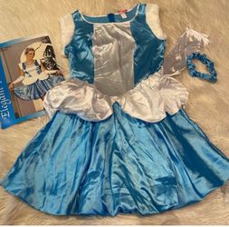 Women’s Cinderella costume