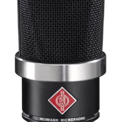 Neumann TLM 102 (very well maintained)