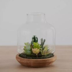 Assorted Succulent Terrarium 