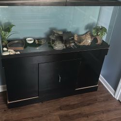 55gallon Tank And Bearded Dragon 