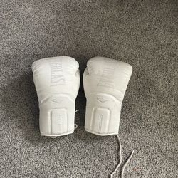 Everlast 14 ounce gloves