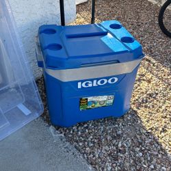 Igloo Cooler 