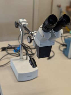AmScope Stereo Zoom Microscope with Boom Stand & Light