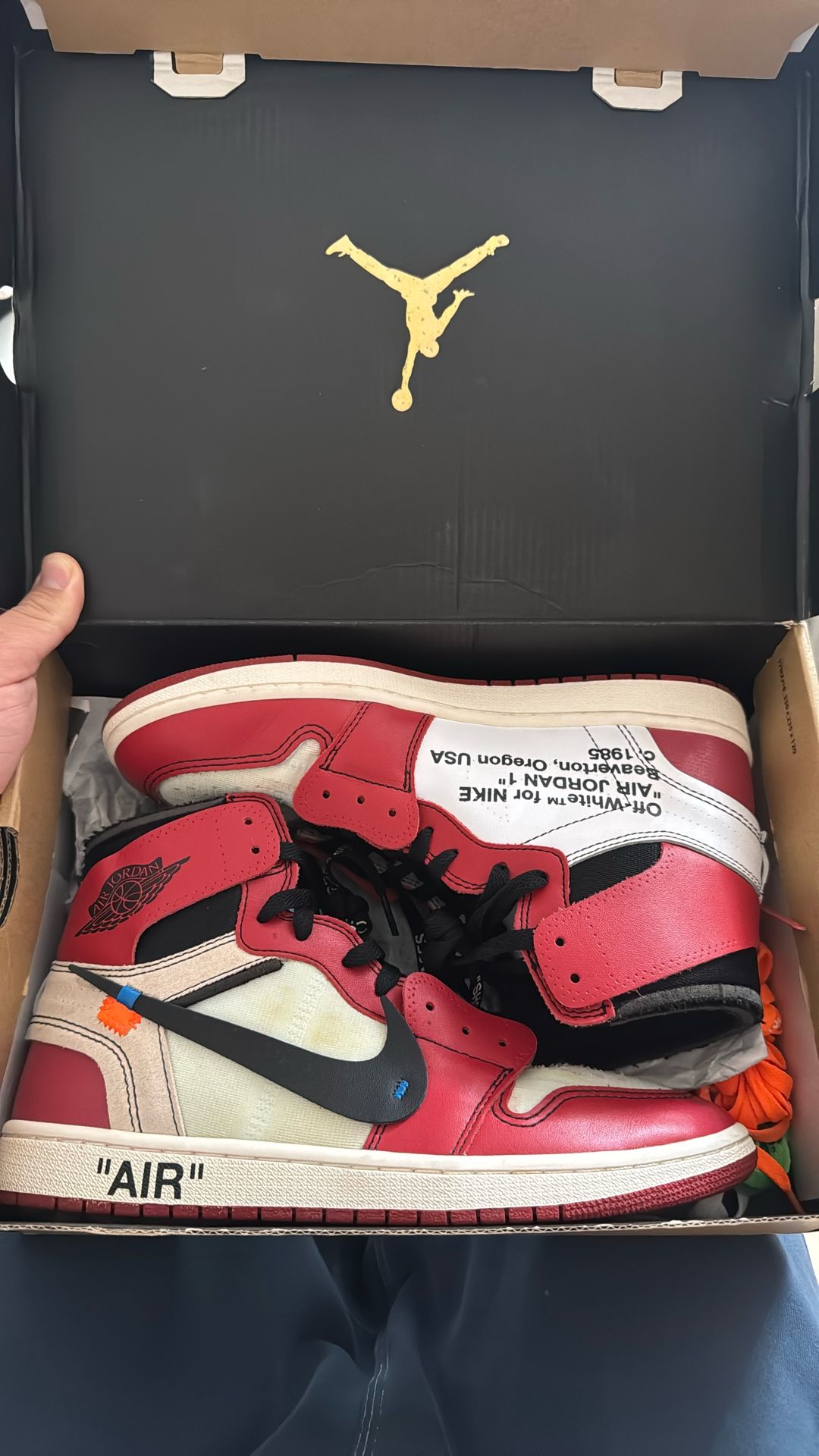 The 10 : Air Jordan 1 