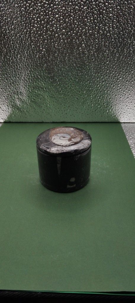 Orthoceras Ammounit Container Round With A Lid (Small)