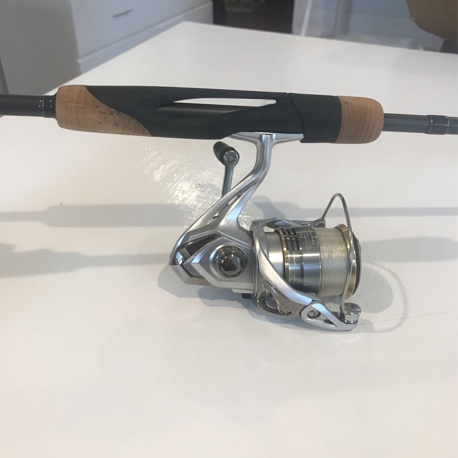 FENWICK World Class Spinning Rod And Shimano Sedona Reel