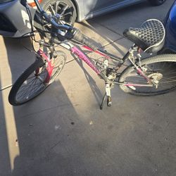 Schwinn Girls Bike 