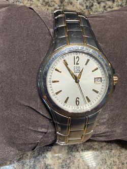 Men’s classic ESQ watch