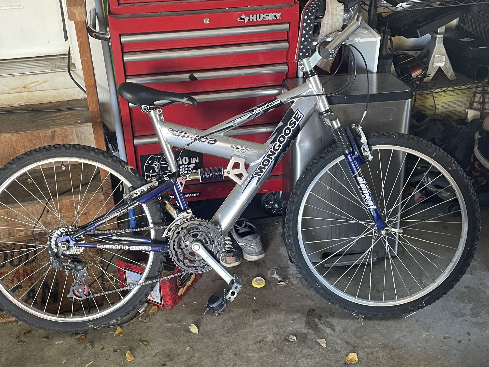 Mongoose XR-100 Mountain Bike Needs TLC
