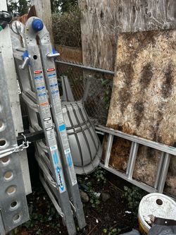 Werner heavy duty ladder