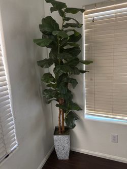 Tall faux tree $60