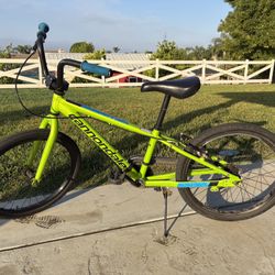 Cannondale Bicycle