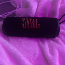 JBL flip 6