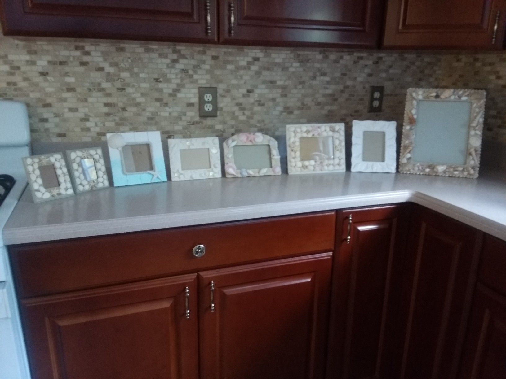 Seashell picture frames