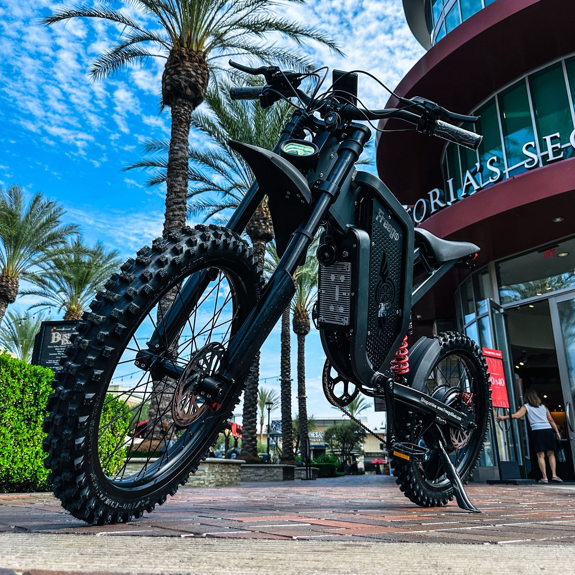 Electric Dirt Bike