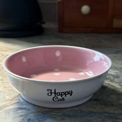 Cat Food Bowl