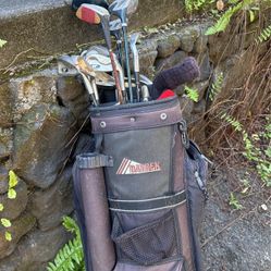 Set Of Golden Bear Accuforce Clubs And Bag