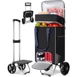 2 in 1 Shopping Carts for Groceries