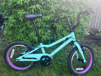 16” Guardian Bike