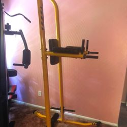 Stinger Workout Equipment Brand New 