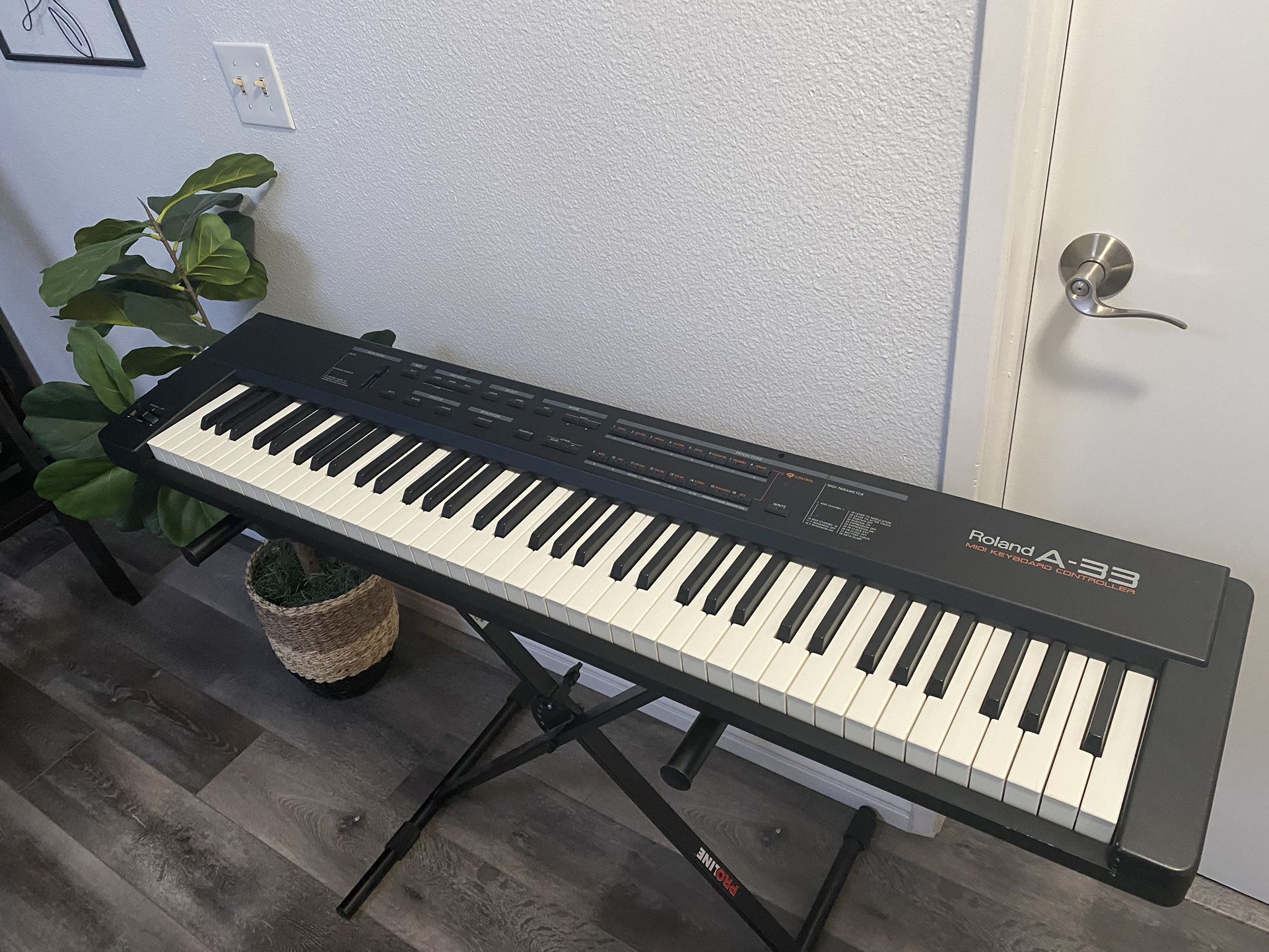 Roland A-33 76-Key Midi Controller