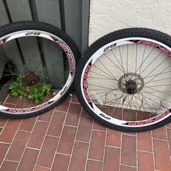 Bike Rims