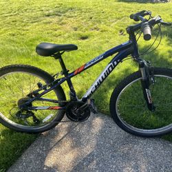 Schwinn Ranger Boys Bike 