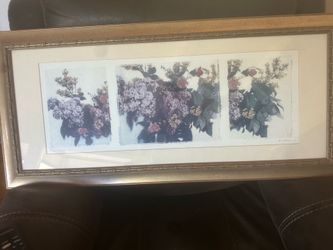 Beautiful framed print- excellent condition