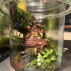 Little House Terrarium