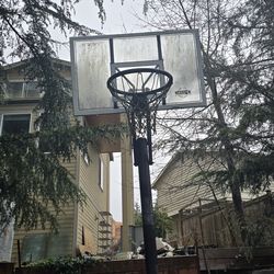 $45 OBO Basketball hoop