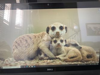 Dell Optiplex 7440 A10