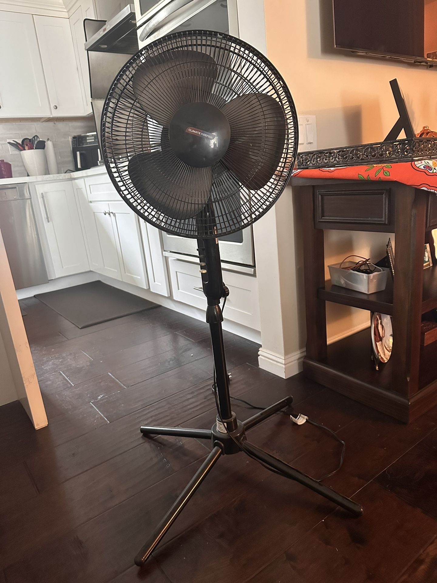 Oscillating Fan